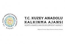 Kuzey Anadolu Kalkınma Ajansının Desteklediği “İhracat Yönetim Danışmanlığı” projesini tamamladık.